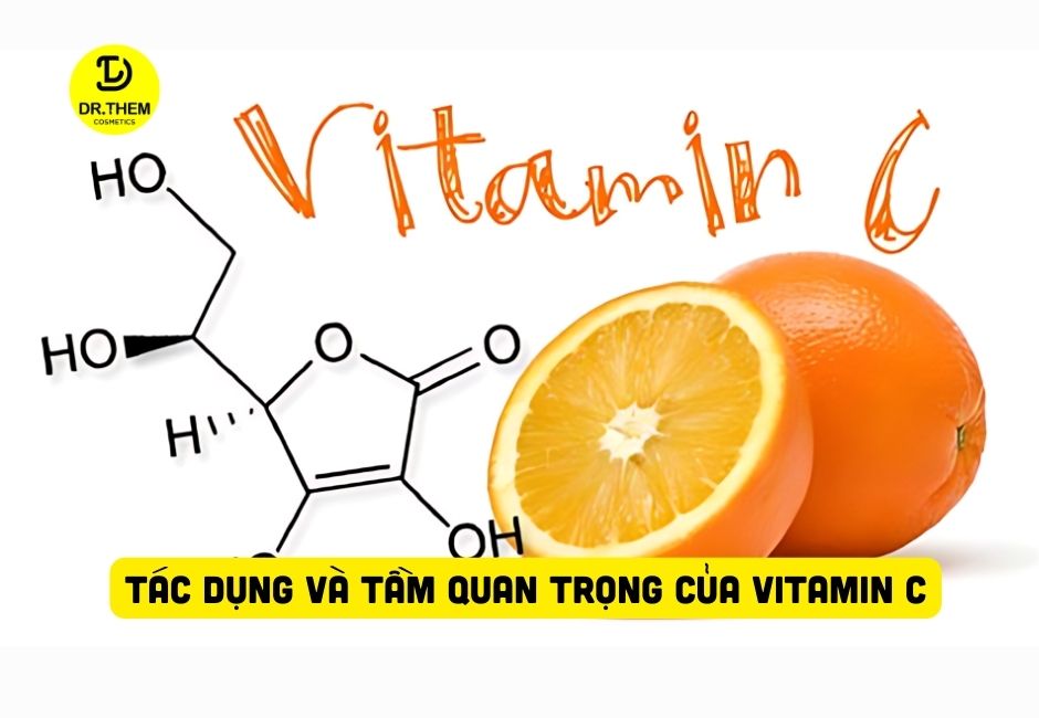 Tác Dụng Và Tầm Quan Trọng Của Vitamin C